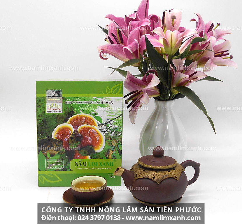 Địa chỉ bán nấm lim xanh rừng