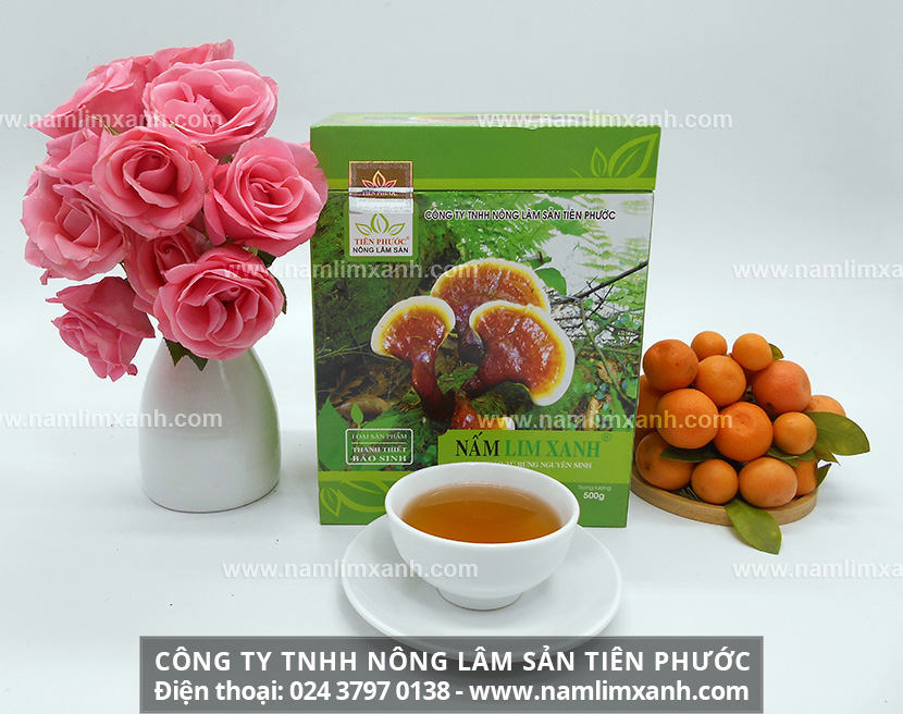 Địa chỉ bán nấm lim xanh uy tín tại Hà Nội và giá bán nấm lim chính hãng