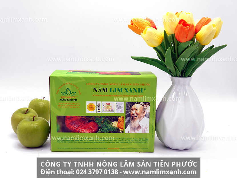 Đối tượng nào không  nên dùng nấm lim xanh