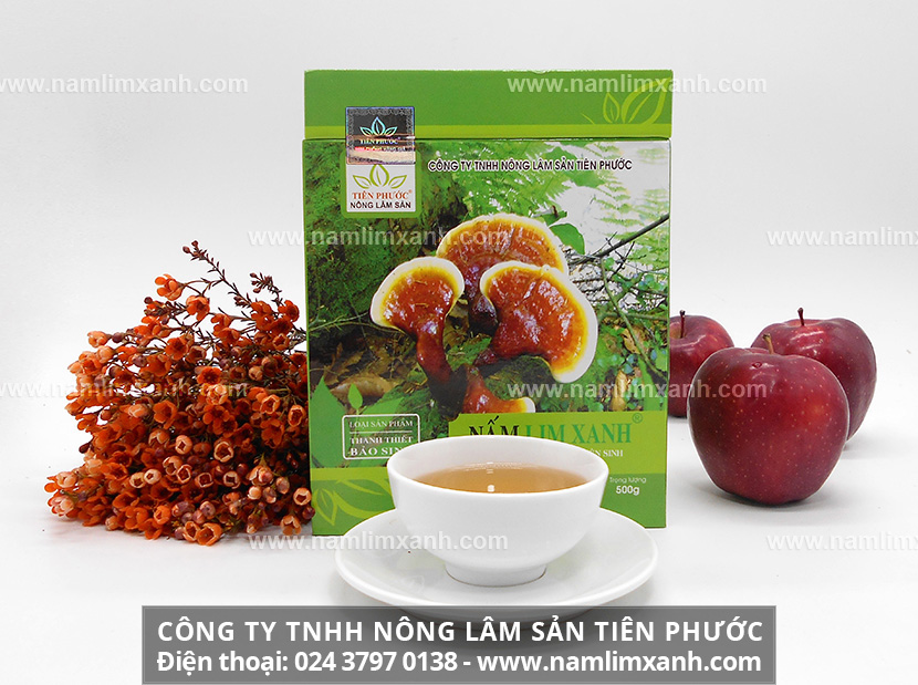 Đối tượng nên và không nên sử dụng nấm lim xanh