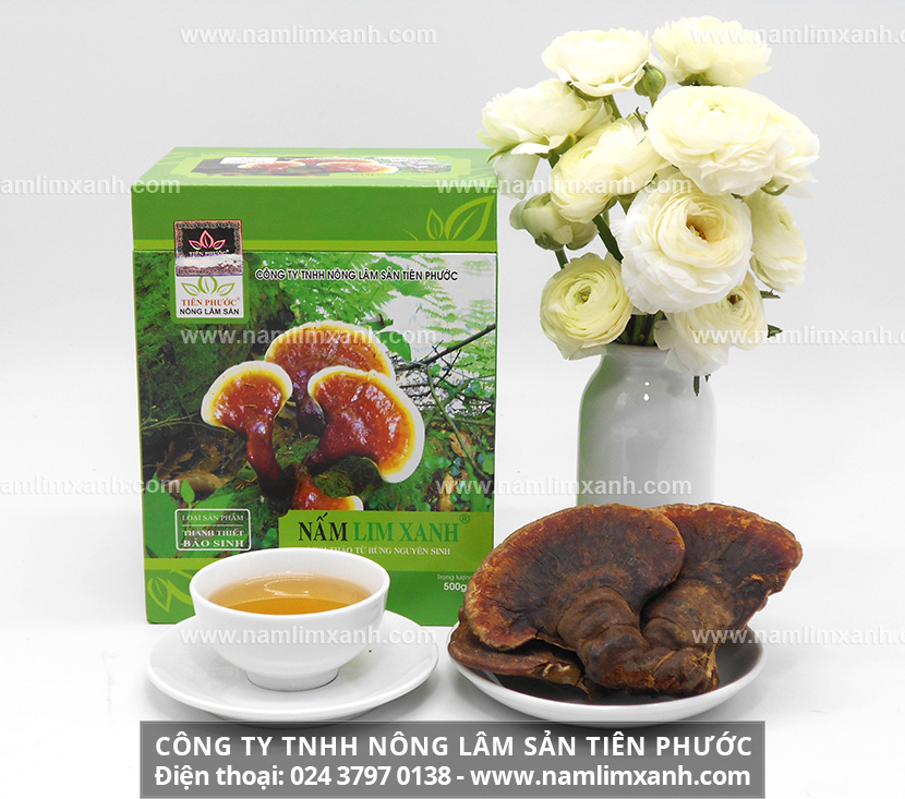 Giá 1kg nấm lim xanh Công ty TNHH Nông lâm sản Tiên Phước 
