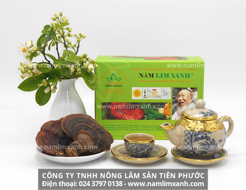 Giá bán các loại nấm lim xanh trên thị trường hiện nay không đồng đều, nhiều loại nấm lim xanh không rõ nguồn gốc, xuất xứ.