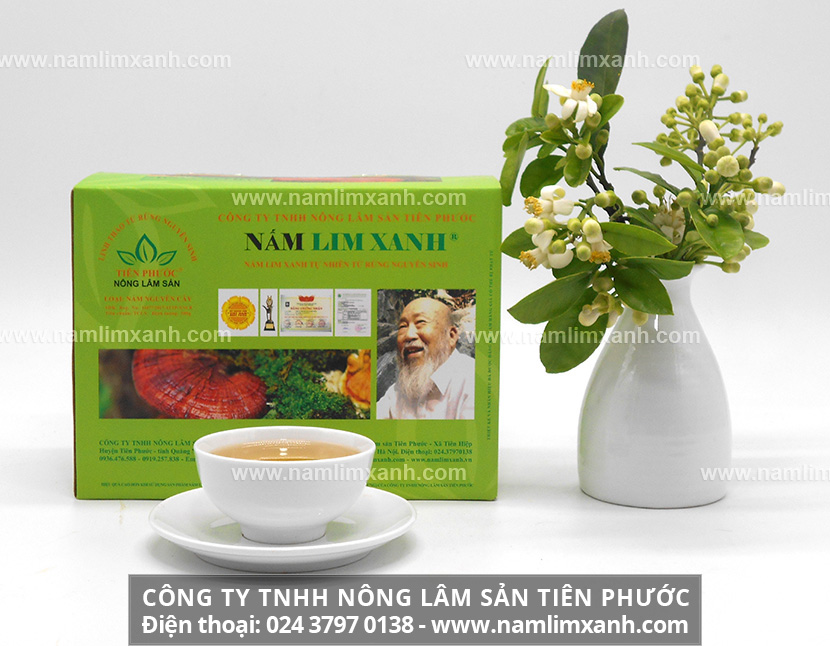 Giá nấm lim xanh Lào trên thị trường hiện nay