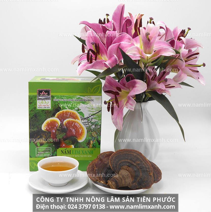 Giá nấm lim xanh trên thị trường bao nhiêu tiền 1kg loại Thanh Thiết Bảo Sinh