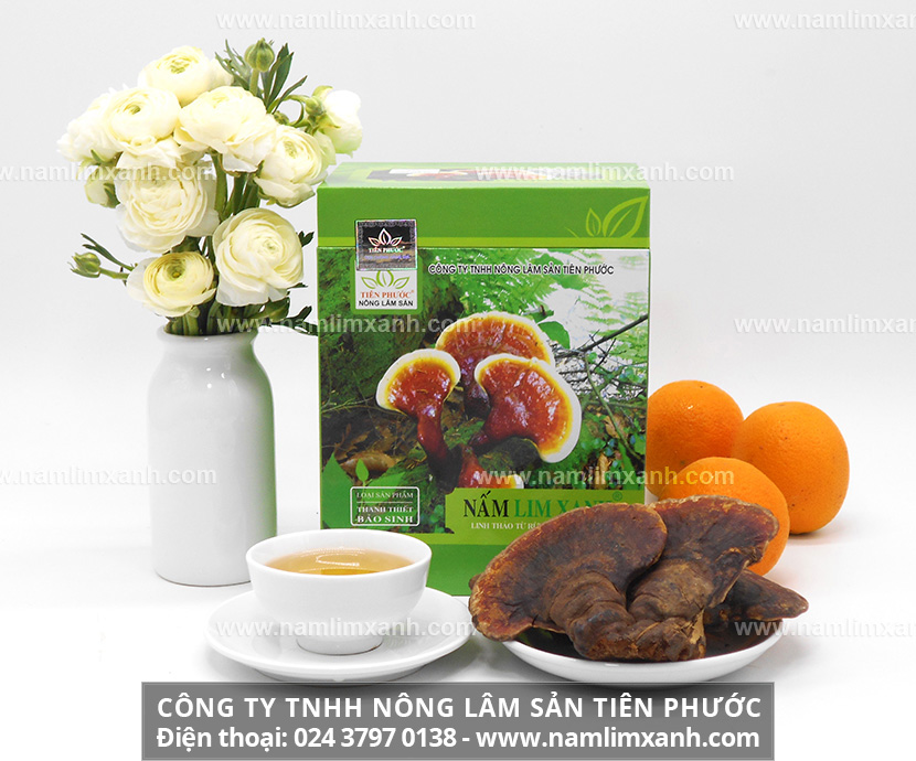 Hướng dẫn cách dùng nấm lim xanh chữa bệnh gan và sắc nước nấm lim xanh uống sẽ điều trị nhiều loại bệnh.