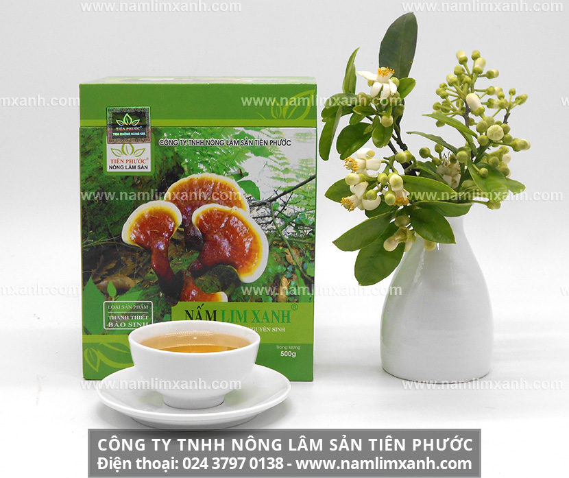 Lựa chọn địa điểm mua bán nấm lim xanh