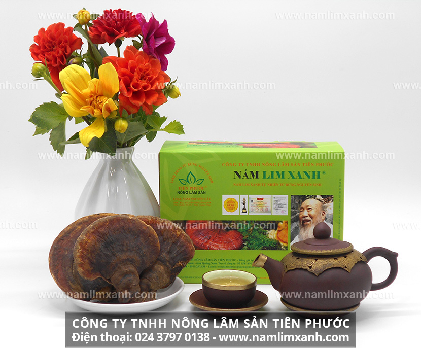 Lưu ý khi dùng nấm lim xanh ngâm rượu