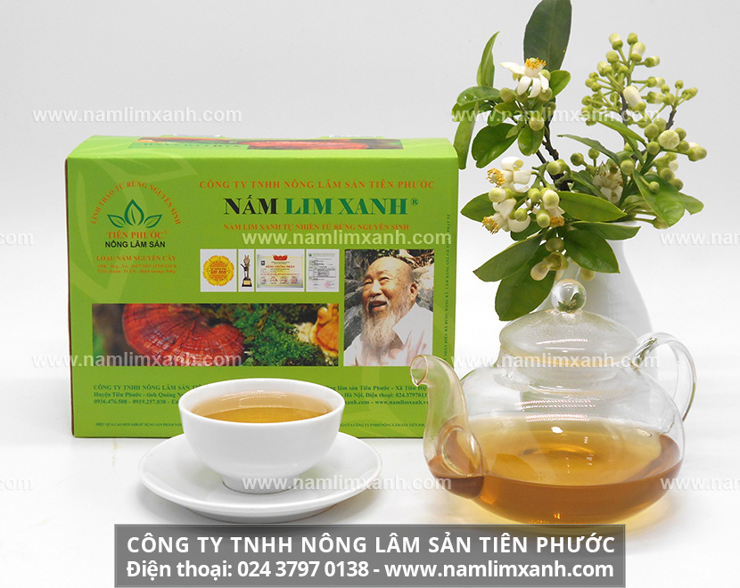 Lưu ý khi uống nấm lim xanh trị bệnh với sử dụng nấm lim xanh đúng liều lượng