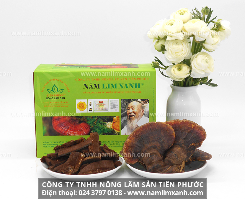 Lưu ý sử dụng nấm lim xanh ngâm rượu