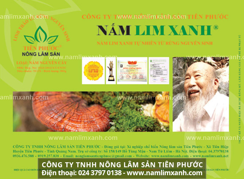 Mua nấm lim xanh chính gốc ở đâu và mua nấm lim xanh tại Đà Nẵng