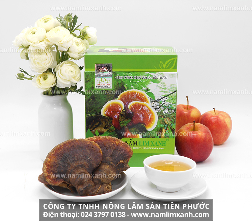 Mua nấm lim xanh ở đâu tốt nhất và giá nấm lim xanh bao nhiêu 1kg