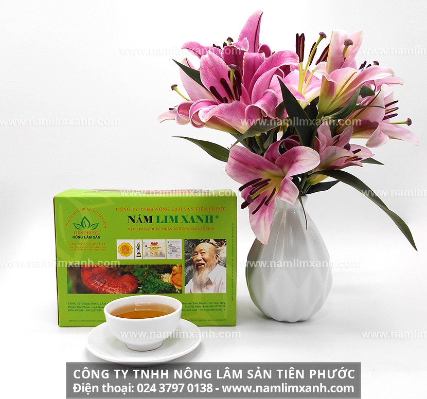 Mua nấm lim xanh rừng chính hãng và giá nấm lim xanh rừng bao nhiêu tiền 1kg