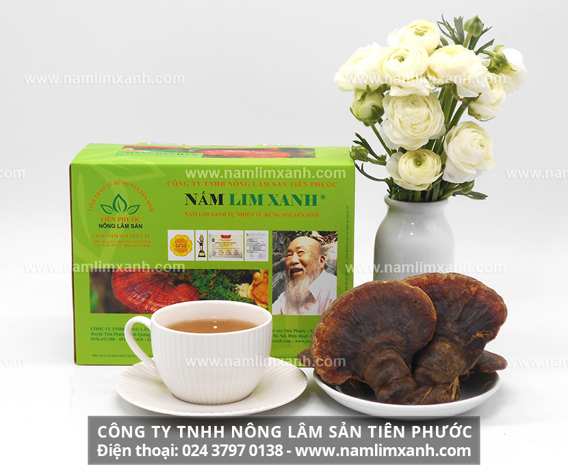 Mua nấm lim xanh rừng như thế nào mới đúng cách và cách chọn nấm lim xanh rừng