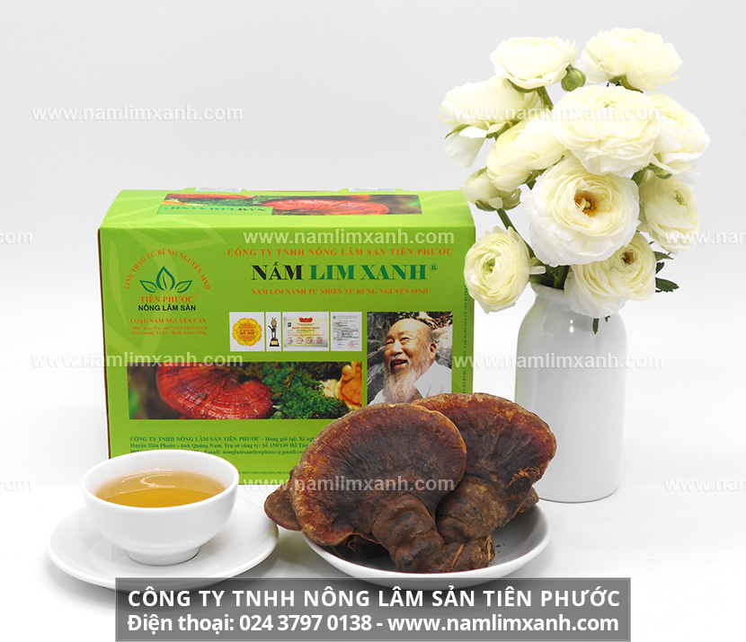 Mua nấm lim xanh rừng ở đâu chuẩn bài thuốc gia truyền công ty Tiên Phước