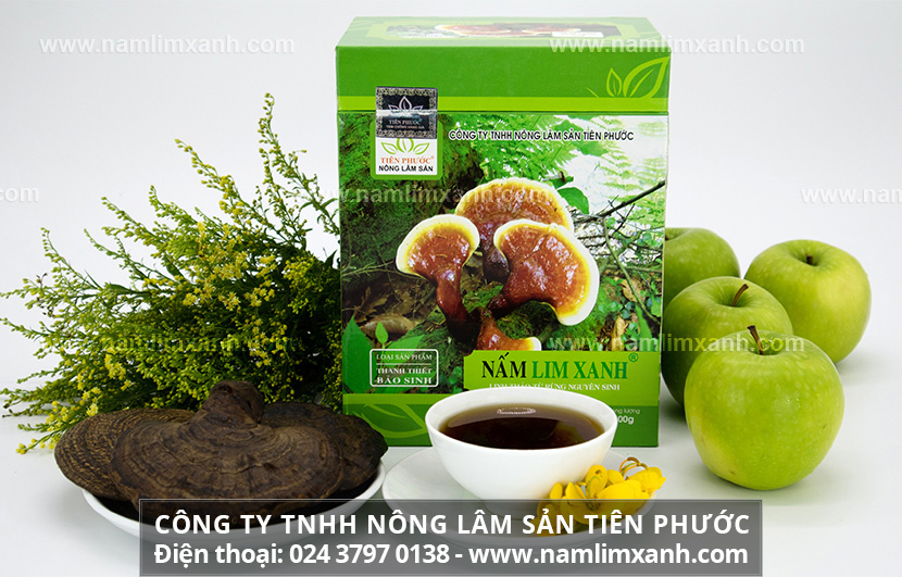 Nấm lim ngâm rượu có tốt không và tác dụng của rượu nấm lim