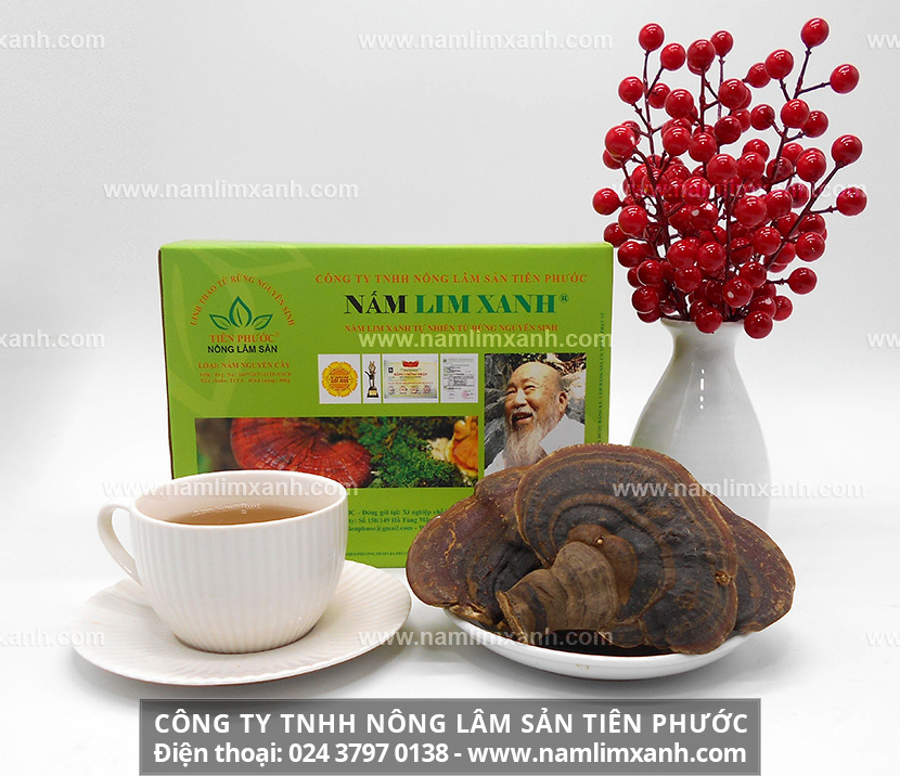 Nấm lim xanh Quảng Nam ngâm rượu giúp tăng cường sinh lý cho nam giới