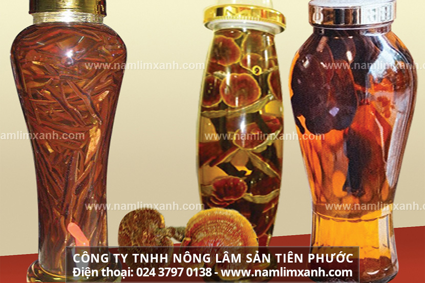 Nấm lim xanh có ngâm rượu được không Ngâm rượu nấm lim đúng cách