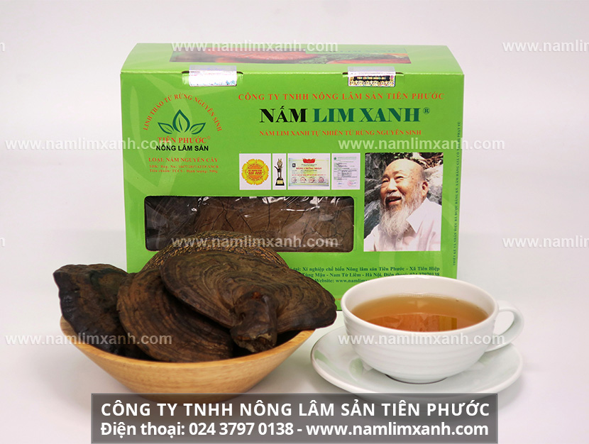 Nấm lim xanh có tác dụng chữa ung thư buồng trứng hiệu quả như thế nào