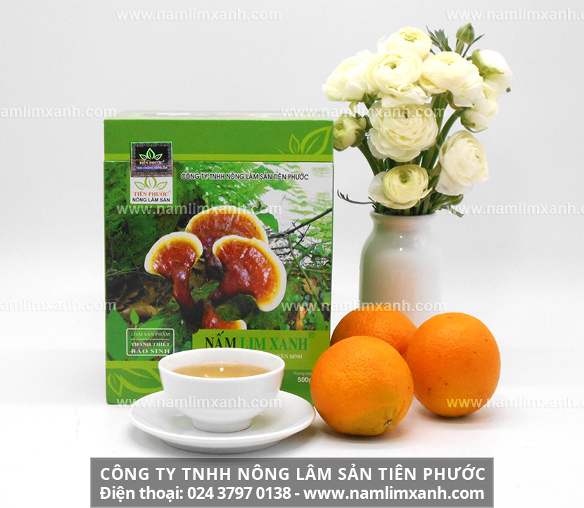 Nấm lim xanh công ty Tiên Phước là gì và tác dụng nấm lim xanh chế biến theo bài thuốc gia truyền