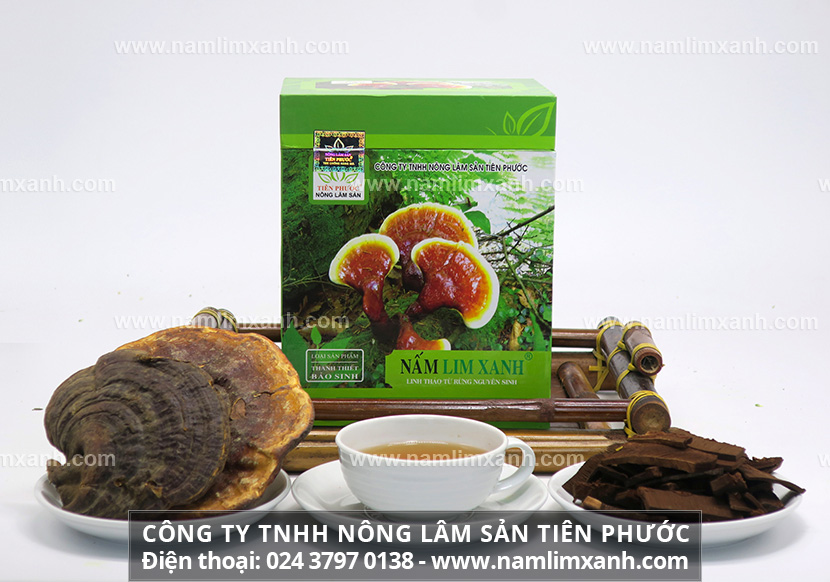 Nấm lim xanh giá bao nhiêu tiền 1kg trên thị trường hiện nay