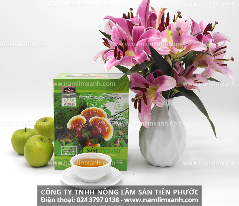 Nấm lim xanh loại Thanh Thiết Bảo Sinh