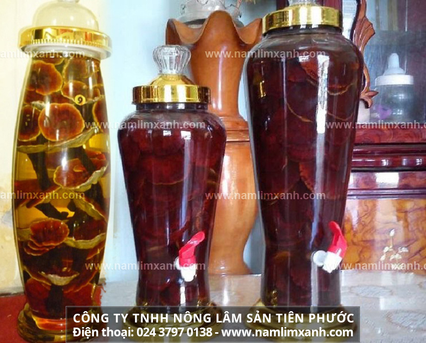 Nấm lim xanh ngâm rượu có tác dụng tăng cường sinh lực cho phái mạnh