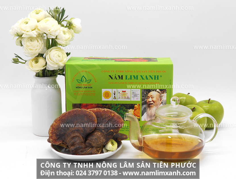 Nấm lim xanh ngâm rượu giúp tăng cường sinh lý phái mạnh