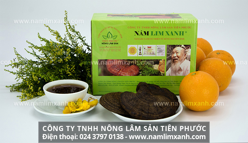 Nhận biết nấm lim xanh rừng  tốt dựa vào hình dáng và màu sắc