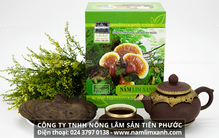 Những cách chế biến nấm lim xanh hiệu quả