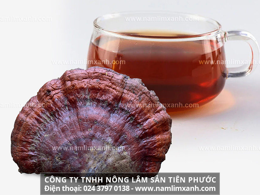 Phương pháp chế biến nấm lim xanh rừng tốt nhất