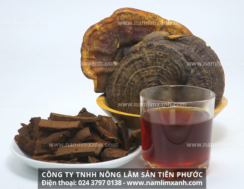 Phương pháp chế biến nấm lim xanh rừng. Cách sắc nấm lim xanh