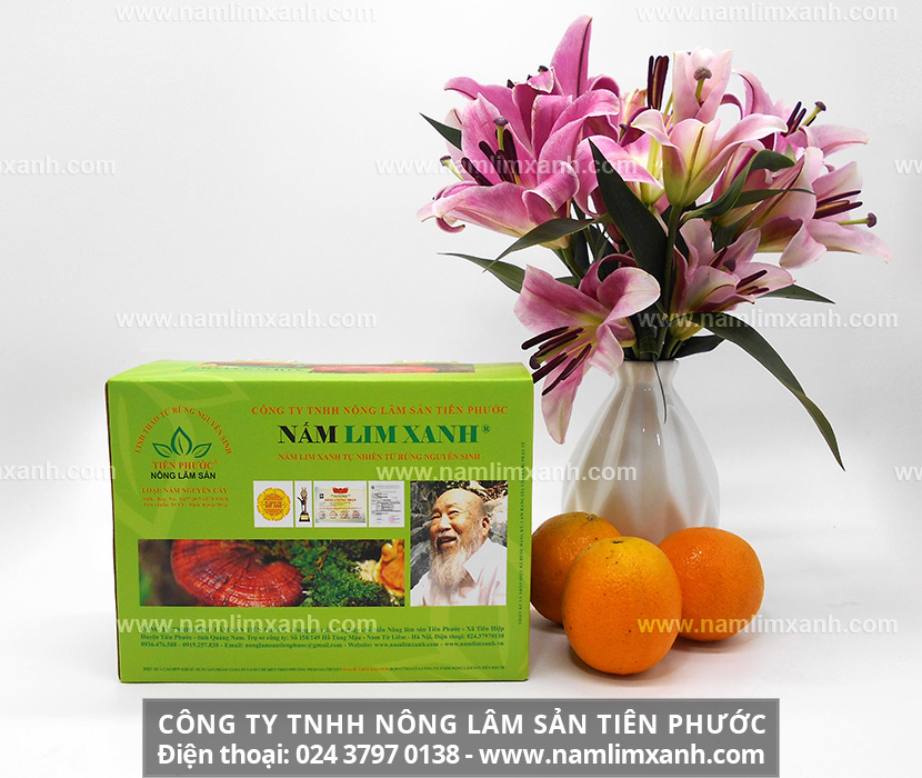 Phương pháp chế biến nấm lim xanh sẽ mang lại hiệu quả chữa bệnh cực tốt.