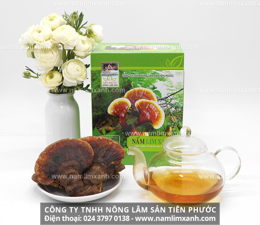 Rượu ngâm nấm lim xanh giúp tăng cường sinh lực phái mạnh