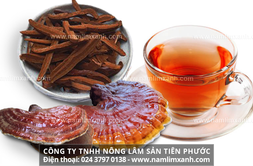 Sơ chế nấm lim xanh theo bài thuốc gia truyền