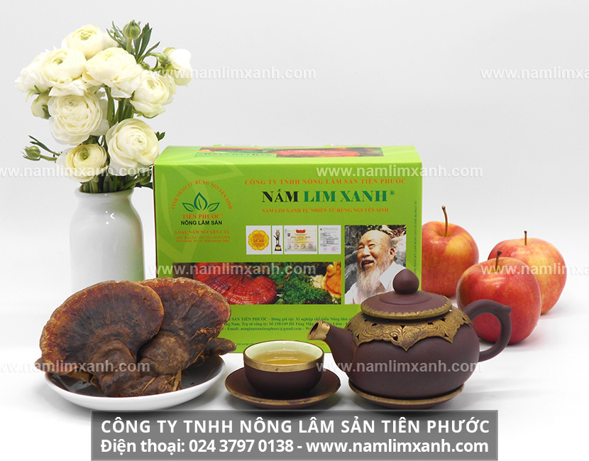 Sử dụng nấm lim xanh rừng đã qua sơ chế có hiệu quả tốt hơn