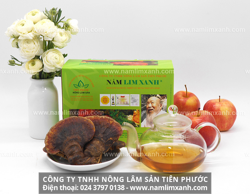 Tác dụng chữa bệnh ung thư của nấm lim xanh