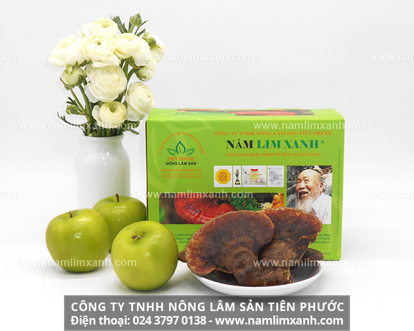 Tác dụng của nấm lim rừng tự nhiên và dùng nấm lim rừng trị bệnh gout