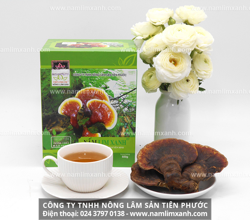 Tác dụng của nấm lim xanh chữa bệnh