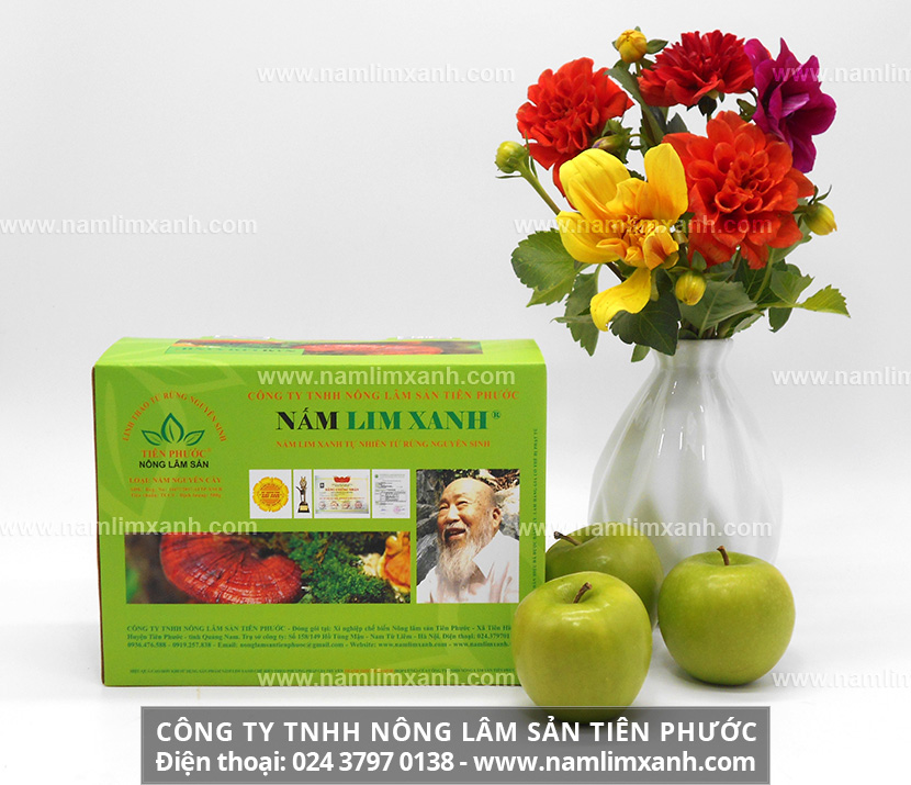 Tác dụng của nấm lim xanh trong việc hỗ trợ điều trị, chữa trị ngăn ngừa