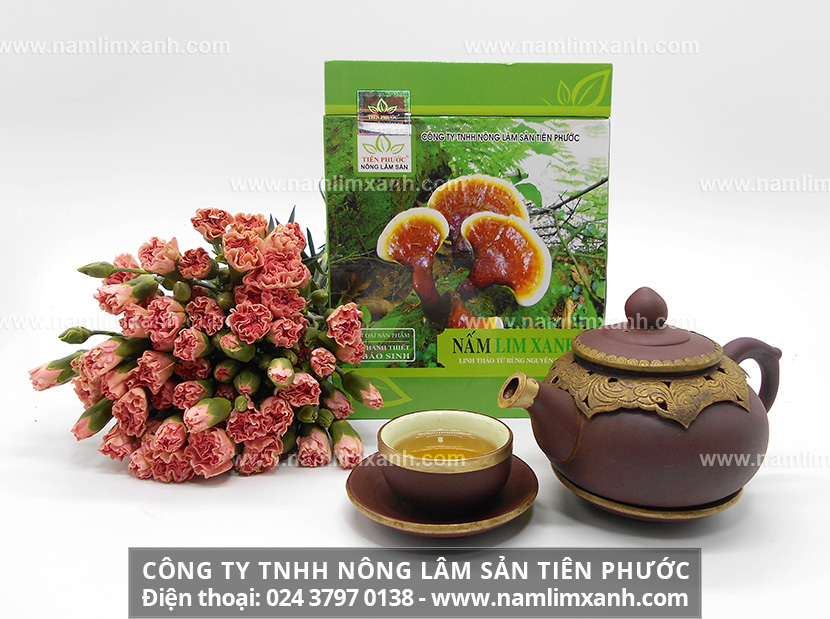 Tác dụng nấm lim xanh chữa ung thư phổi và cách uống nước nấm lim hiệu quả