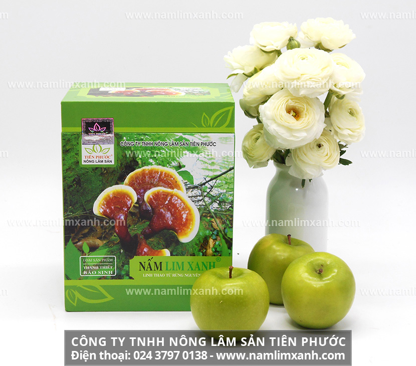 Uống nấm lim xanh rừng ngâm rượu tốt cho người bị suy nhược thần kinh