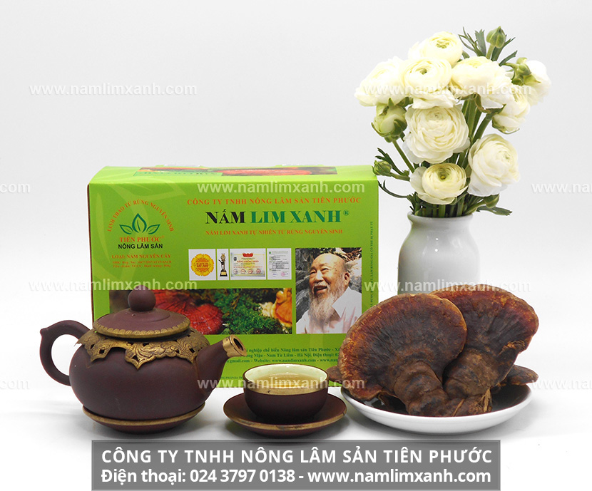 Uống nấm lim xanh sau bao lâu có tác dụng và hướng dẫn cách ngâm rượu nấm lim