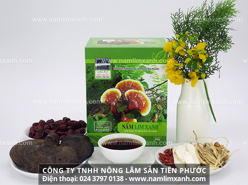 Tác dụng nấm lim xanh chữa ung thư